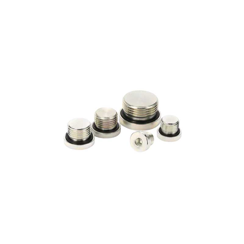 BSP Nam Captive Seal Nội bộ Hex Plug