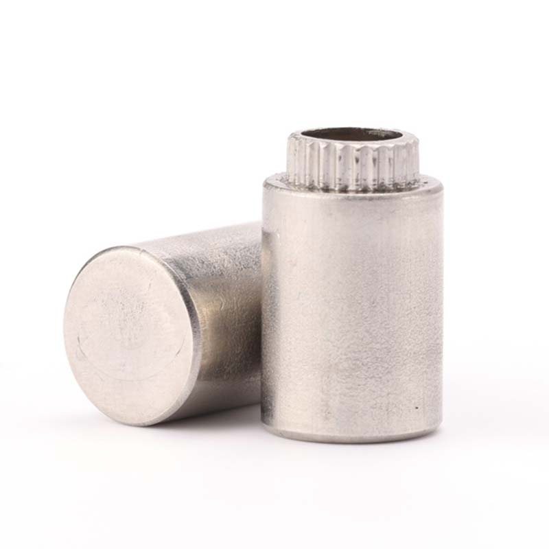 Sự chờ đợi của Captive Fastener