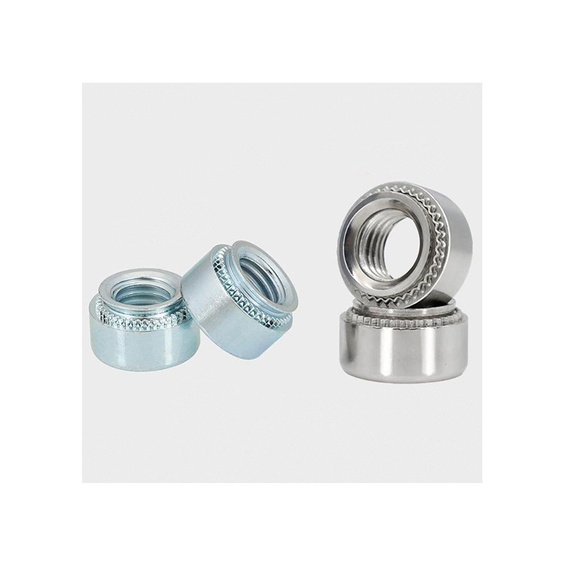 Nutcing Nut đáng tin cậy