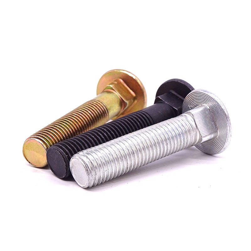 Huấn luyện viên đầu tròn Bolt