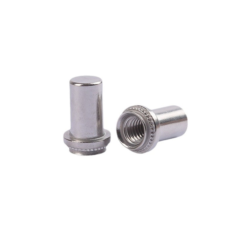 Un carbon thép niêm phong clinching nut